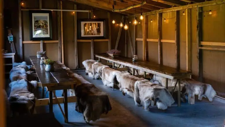 Innendørs med geiter og koselige lys i feriekoselige omgivelser.